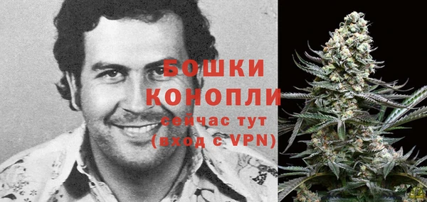 эйфоретик Дмитриев